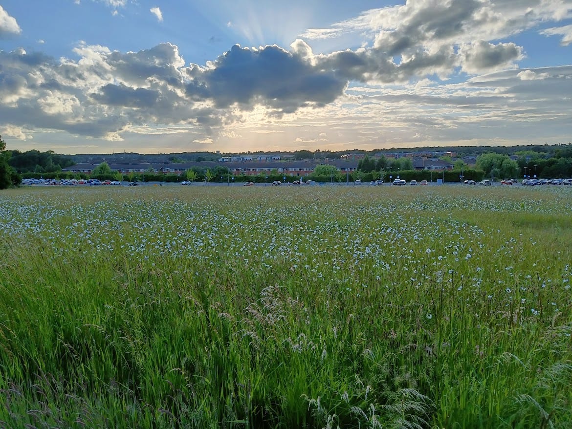 plus a picture of a beautiful scene beside the accommodation that I used to stay at during my masters: